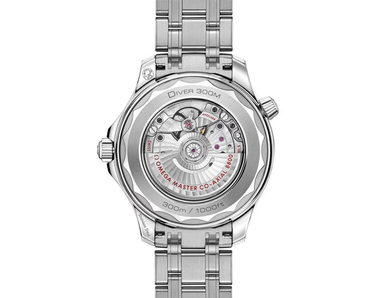 Diver 300M Master Chronometer – 42mm Black Dial | Premium Dive Watch